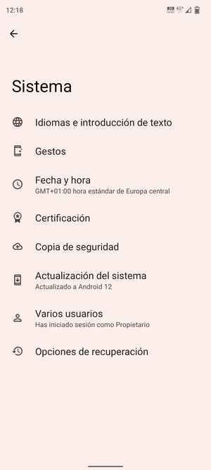 Seleccione Actualización del sistema