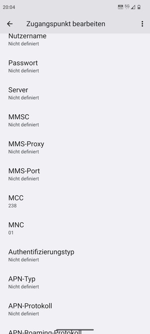 Scrollen Sie nach unten und geben Sie Internetinformationen ein