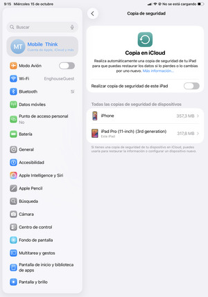 Active Realizar copia de seguridad de este iPad