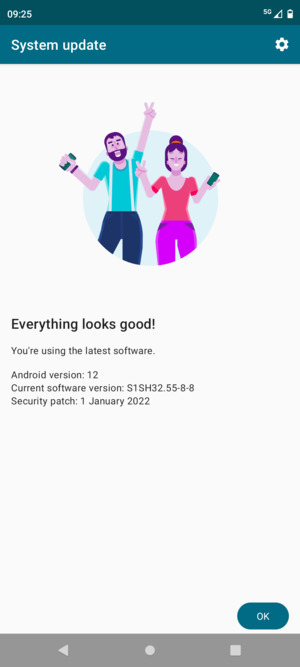 If your phone is up to date, select OK