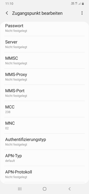 Scrollen Sie nach unten und geben Sie Internetinformationen ein