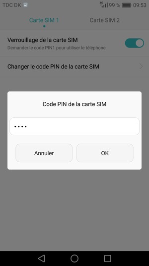 Saisissez votre Ancien code PIN de la carte SIM et sélectionnez OK