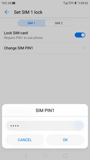 Enter your Old SIM PIN and select OK
