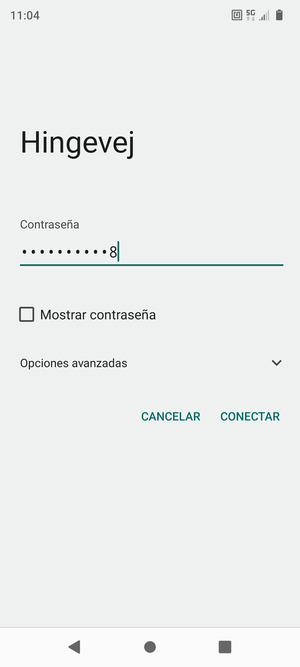 Introduzca la contraseña de Wi-Fi y seleccione CONECTAR