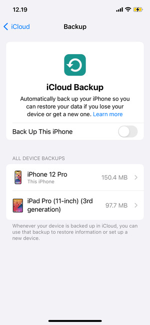 Turn on Back Up This iPhone