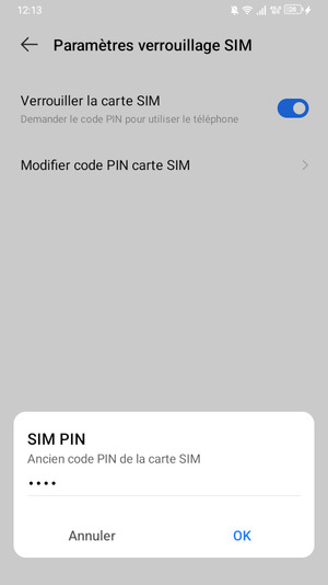 Saisissez votre Ancien code PIN de la carte SIM et sélectionnez OK