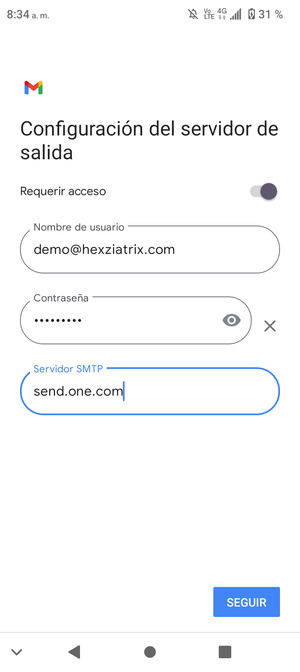 Introduzca la dirección de servidor saliente y seleccione SEGUIR