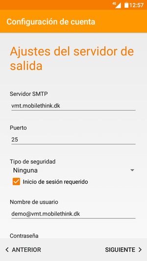 Introduzca la dirección de servidor saliente