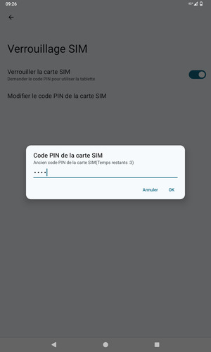 Saisissez votre Ancien code PIN de la carte SIM et sélectionnez OK
