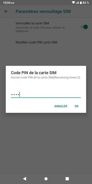 Saisissez Ancien code PIN de la carte SIM et sélectionnez OK