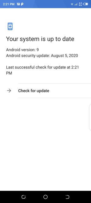 If your phone is up to date, you will see the following screen