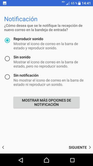 Seleccione la opción deseada y seleccione SIGUIENTE