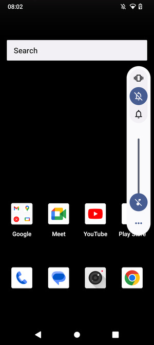 Select Mute to change to silent mode