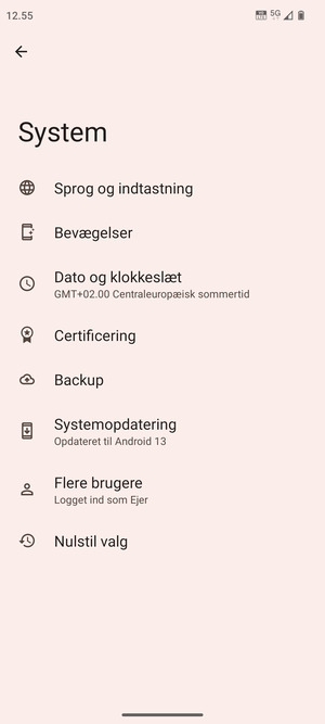 Vælg Systemopdatering