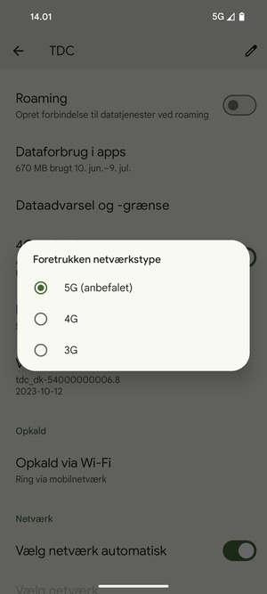 Vælg din foretrukne mulighed