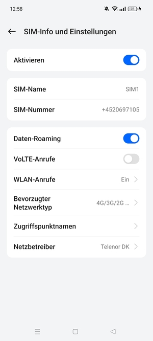 Schalten Sie Daten-Roaming an oder aus