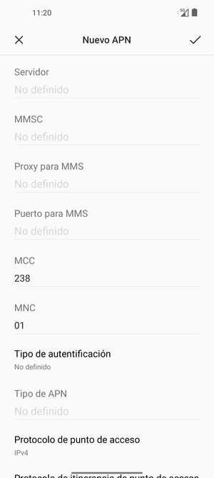 Desplácese hacia abajo e introduzca la información de Internet