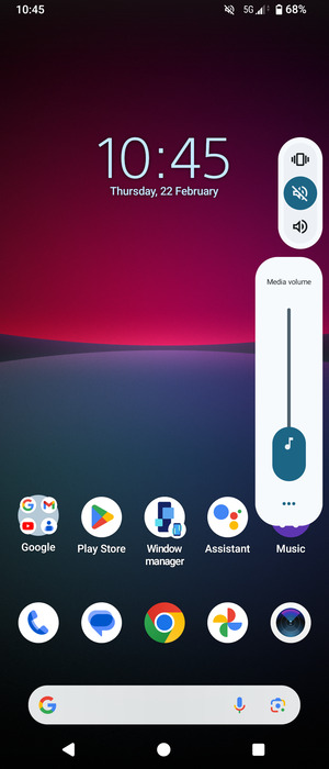 Select Mute to change to Mute mode