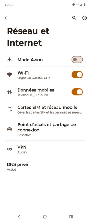 Sélectionnez Cartes SIM et réseau mobile