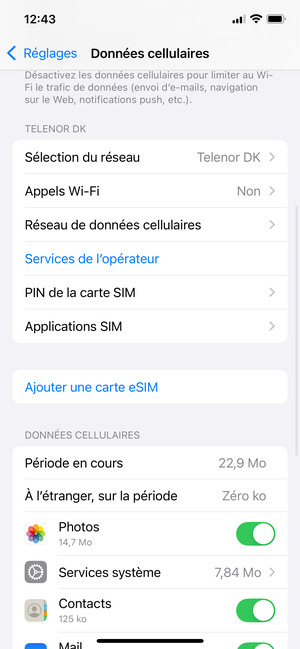 Faites défiler et sélectionnez PIN de la carte SIM