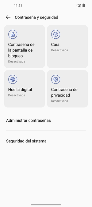 Seleccione Seguridad del sistema