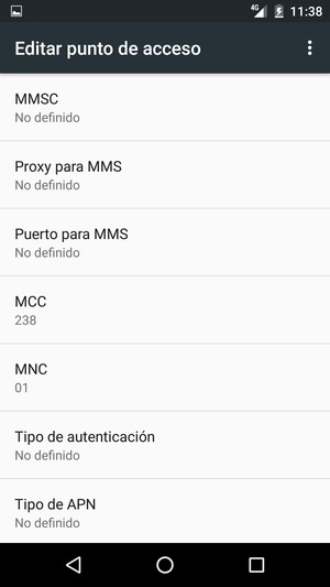 Desplácese hacia abajo e introduzca la información MMS