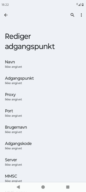 Indtast internet-oplysninger