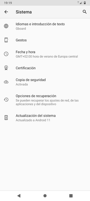 Seleccione Actualización del sistema