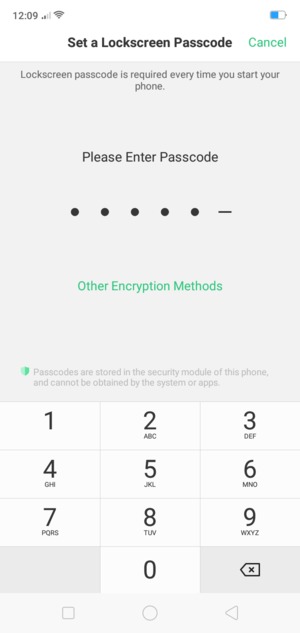 Enter a Passcode