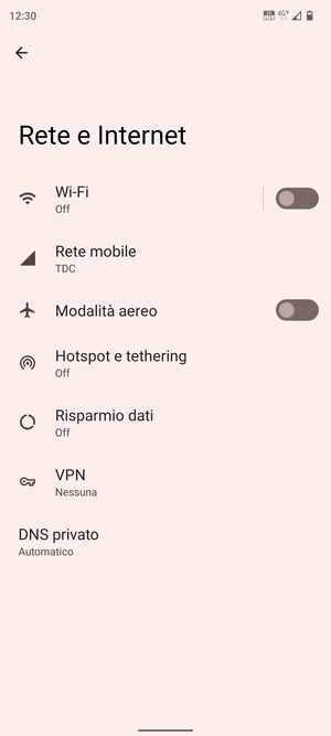 Seleziona Rete mobile