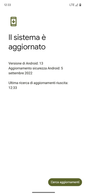 Se il tuo telefono è aggiornato, vedrai la seguente schermata