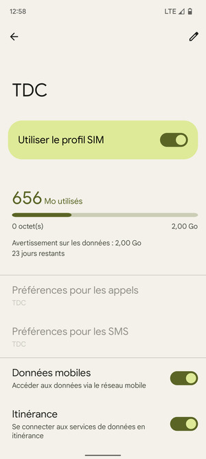 Activer ou désactiver Itinérance
