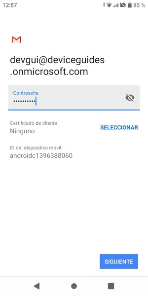 Introduzca su contraseña y seleccione SIGUIENTE
