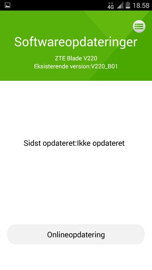 Vælg Onlineopdatering