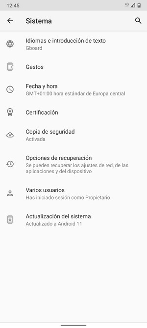 Seleccione Actualización del sistema