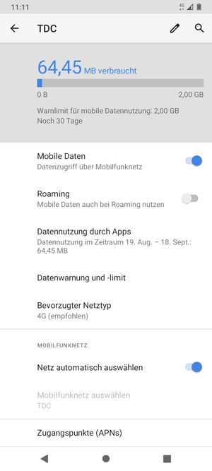 Scrollen Sie und wählen Sie Zugangspunkte (APN's)