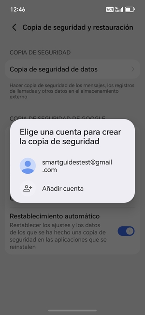 Seleccione su cuenta de copia de seguridad