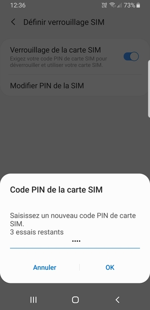 Saisissez votre Nouveau code PIN de carte SIM et sélectionnez OK