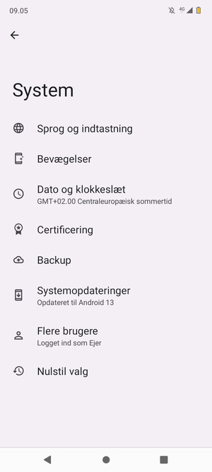 Vælg Systemopdateringer