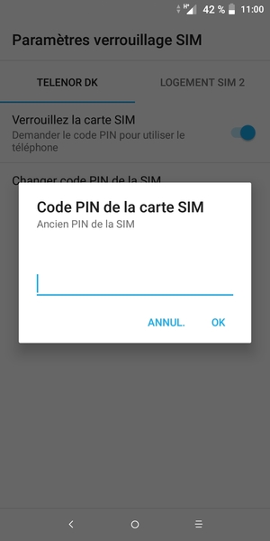 Saisissez votre Ancien PIN de la SIM et sélectionnez OK