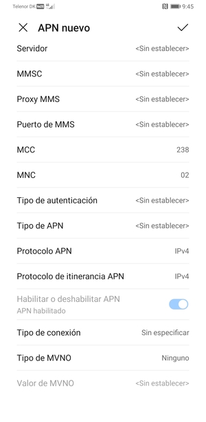 Desplácese hacia abajo e introduzca la información de Internet