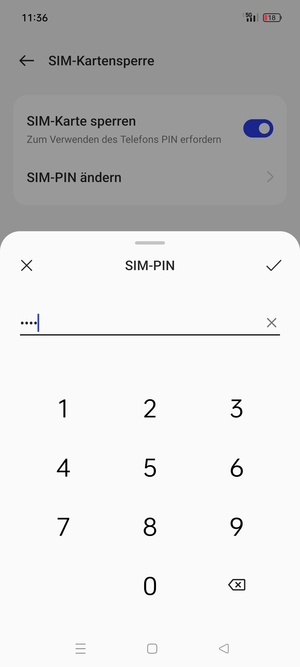 Geben Sie Aktuelle PIN für die SIM-Karte ein und wählen Sie OK