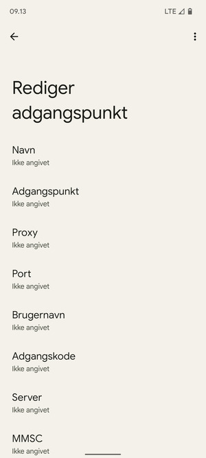 Indtast internet-oplysninger