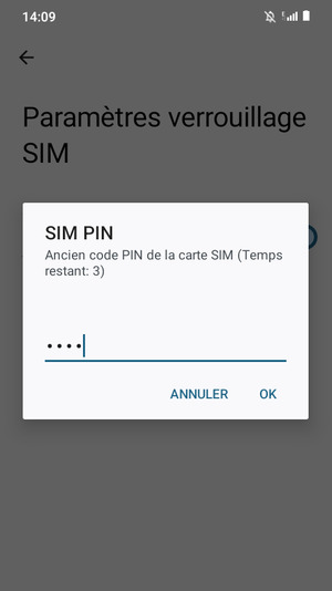 Saisissez votre Ancien code PIN de la carte SIM et sélectionnez OK
