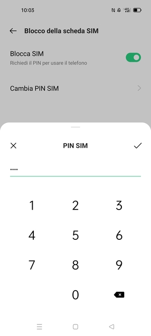 Inserisci PIN attuale della scheda SIM e seleziona OK