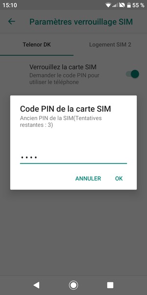 Saisissez votre Ancien PIN de la SIM et sélectionnez OK