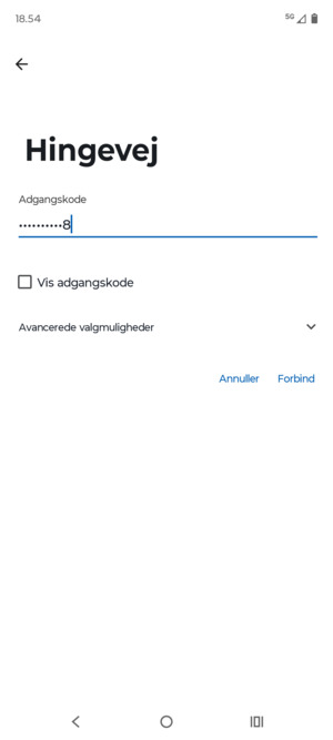 Indtast Wi-Fi adgangskoden og vælg Forbind