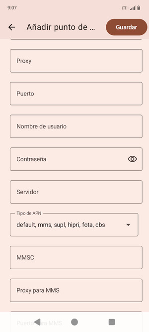 Desplácese y seleccione Tipo de APN