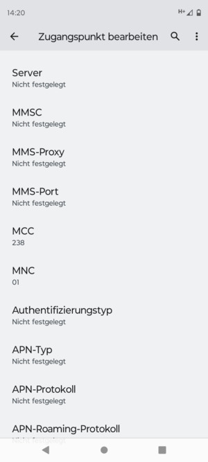 Scrollen Sie nach unten und geben Sie Internetinformationen ein