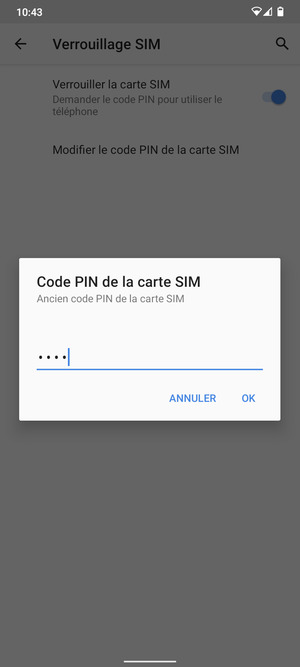 Saisissez Ancien code PIN de la carte SIM et sélectionnez OK